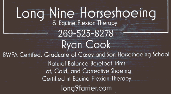 Long Nine Horseshoeing logo